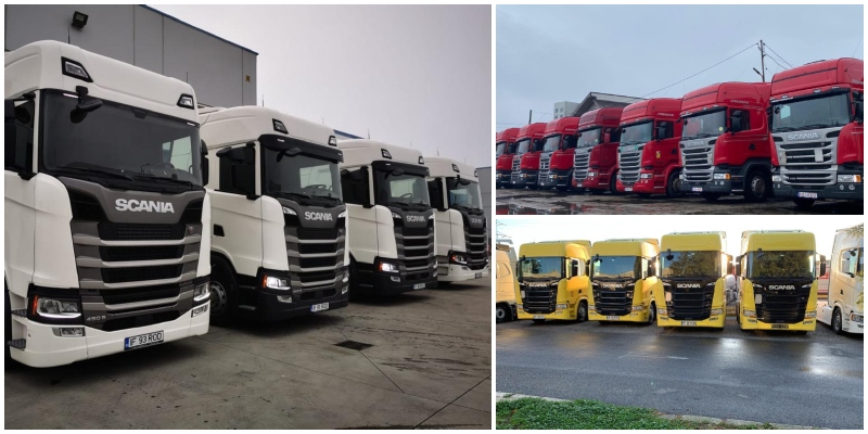 Giorgio Trans angajează: Salarii de la 1.000 de euro și multiple posturi disponibile în Satu Mare și Valencia