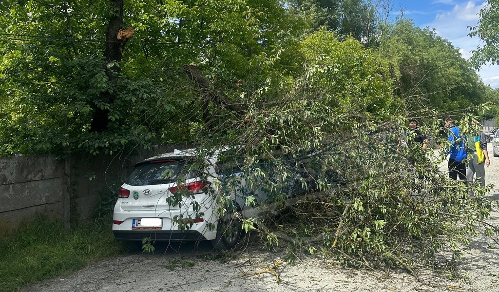 FOTO. Ghinion pentru un spaniol în Satu Mare. O creangă mare i-a căzut peste mașină