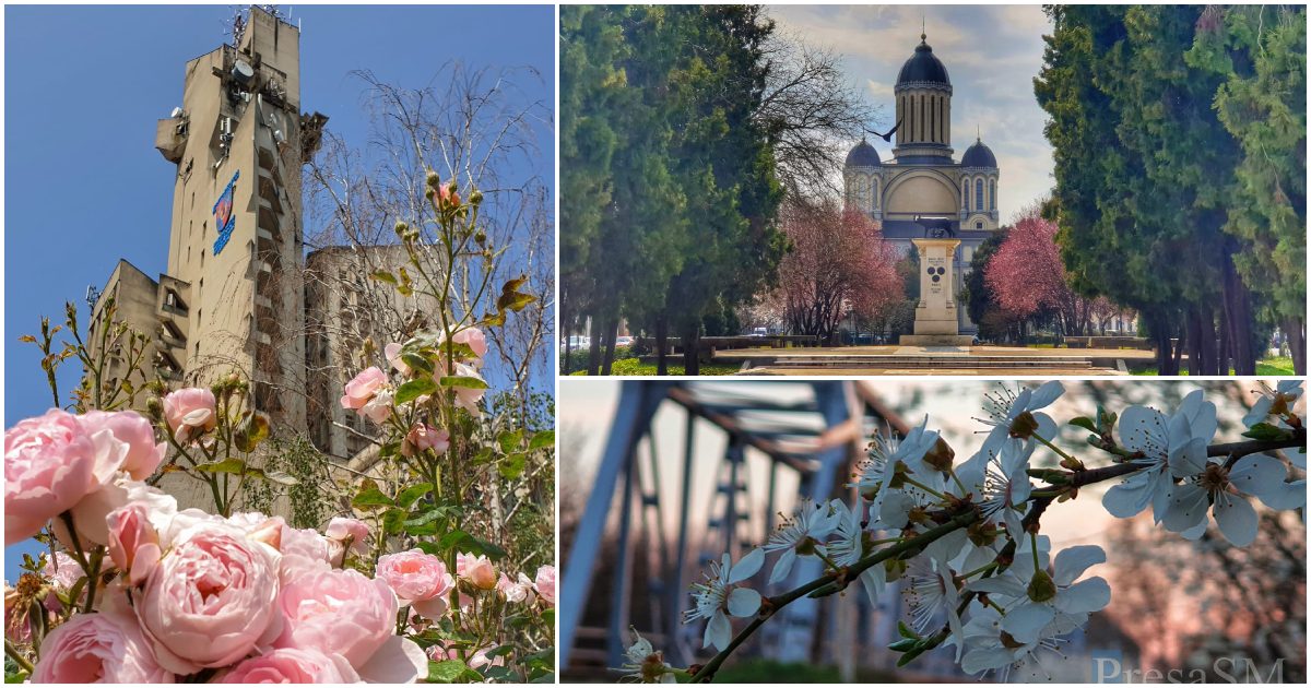 Satu Mare s-a înscris oficial în concursul european pentru orașe înflorite