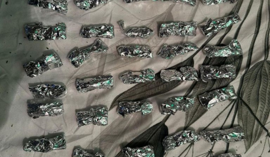 FOTO. Percheziții la Satu Mare. Doi sătmăreni, arestați preventiv. Unul prins în flagrant, altul vindea droguri copiilor