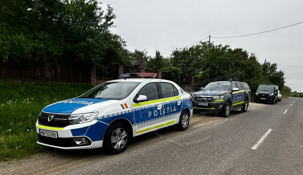 FOTO. Percheziții în Viile Satu Mare. Bărbat acuzat că se juca de-a veterinarul, fără drept