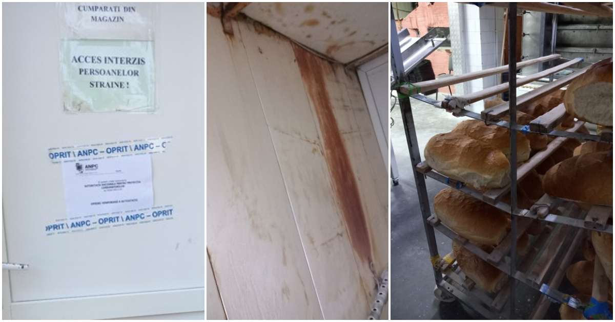 FOTO. Brutărie din Satu Mare, închisă temporar de Protecția Consumatorilor. Amenzi și produse retrase de la vânzare