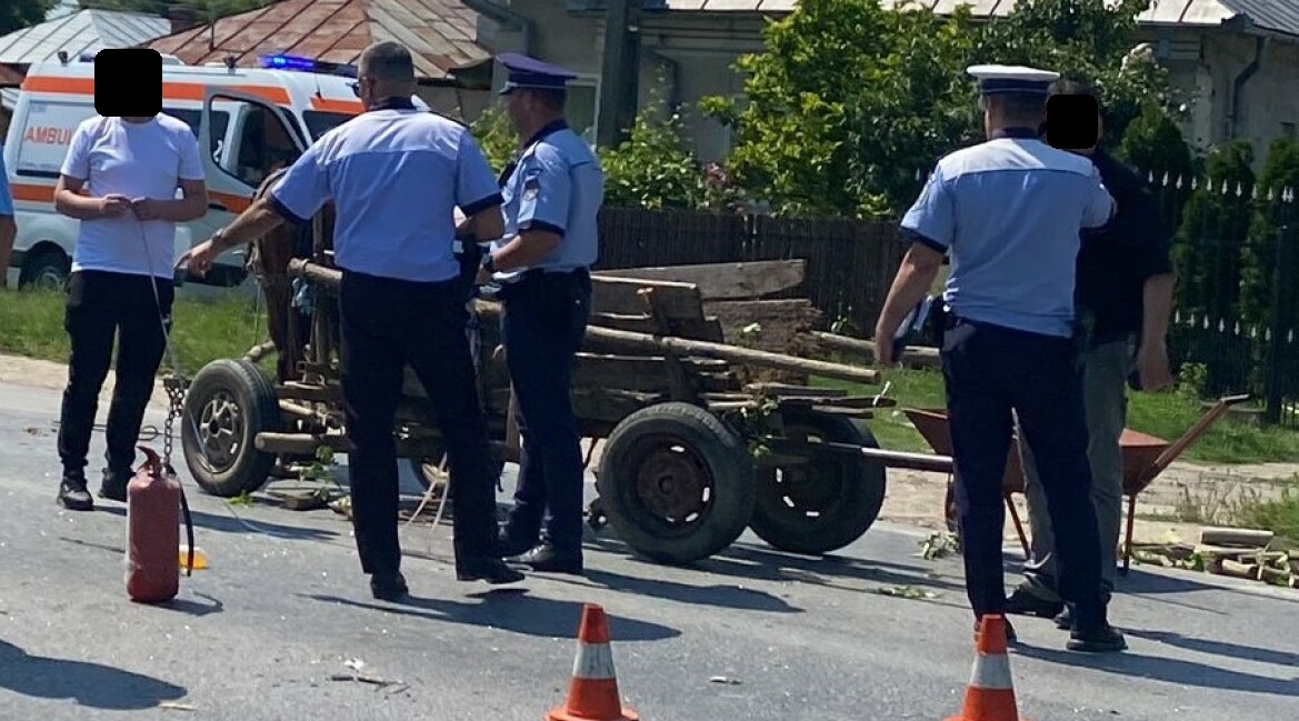 Accident bizar în Berveni: Bărbat prins sub căruța răsturnată. Fiul a luat calul și a fugit