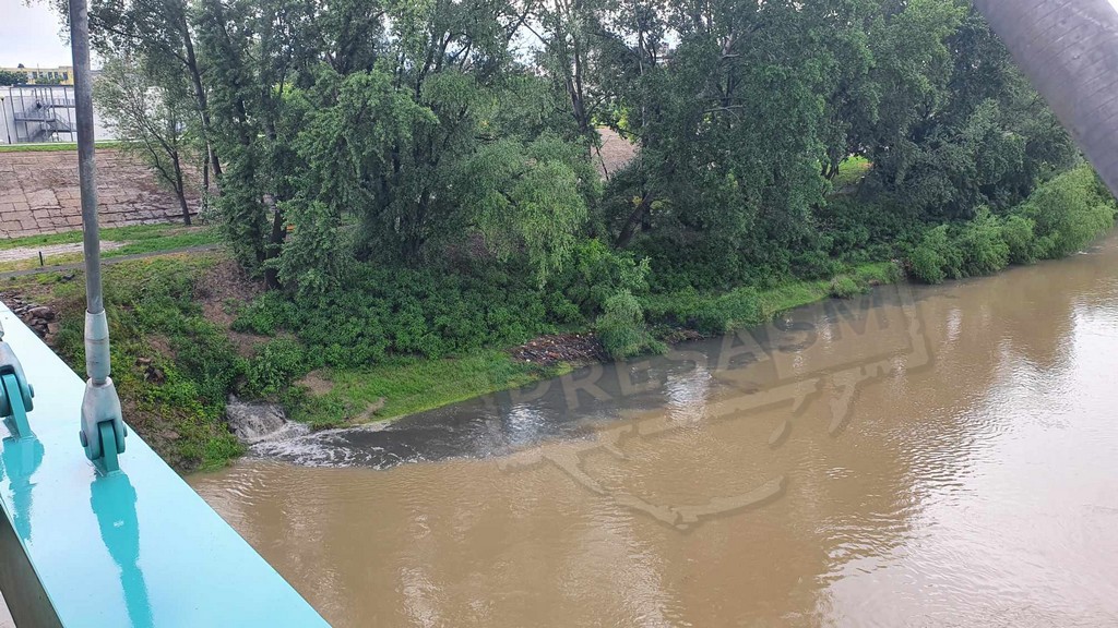 FOTO. Ce se devarsă în Someș, în municipiul Satu Mare. Vă prezentăm răspunsul