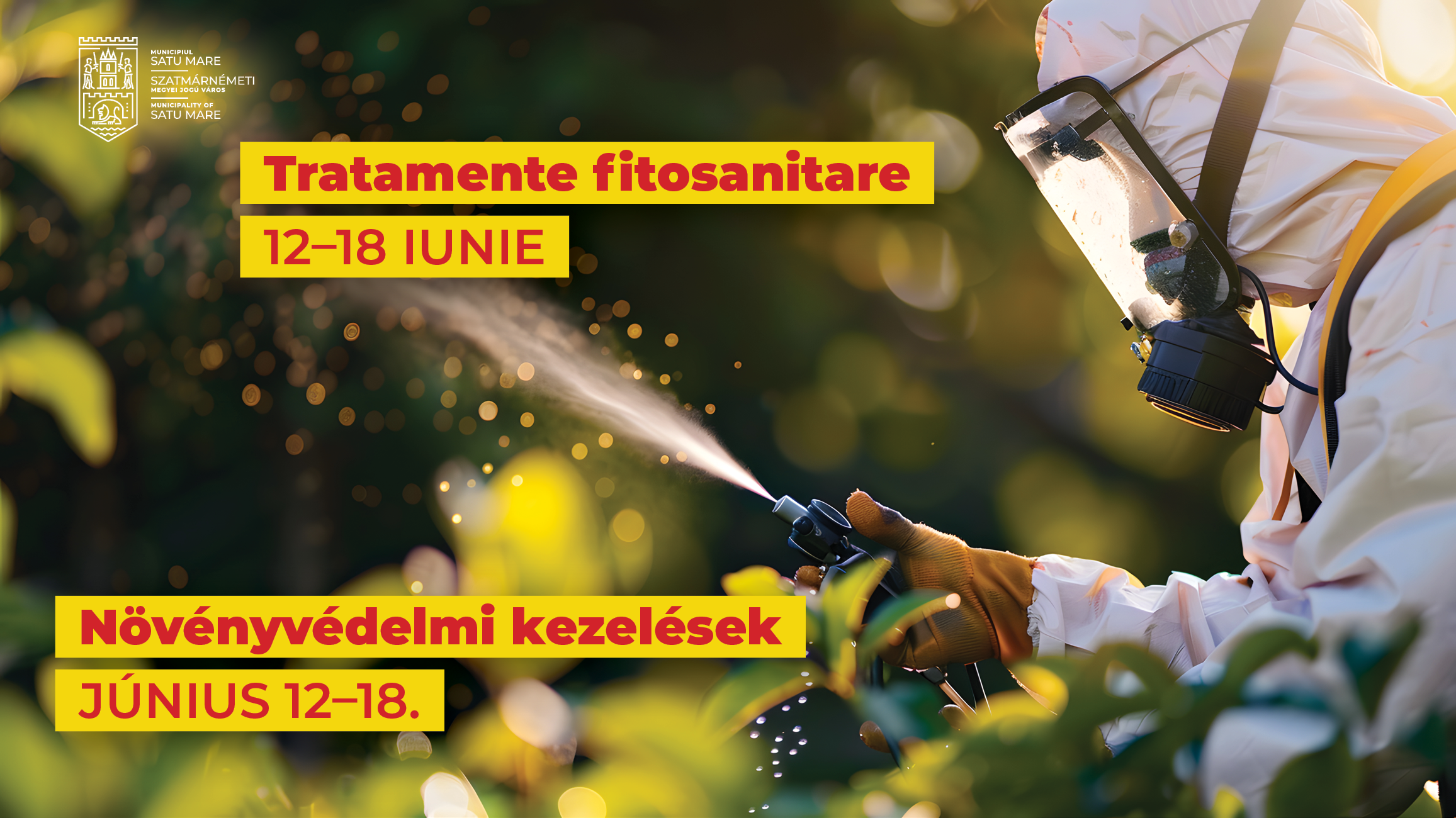 Începe mare dezinsecție în municipiul Satu Mare. La ce trebuie să aveți mare grijă