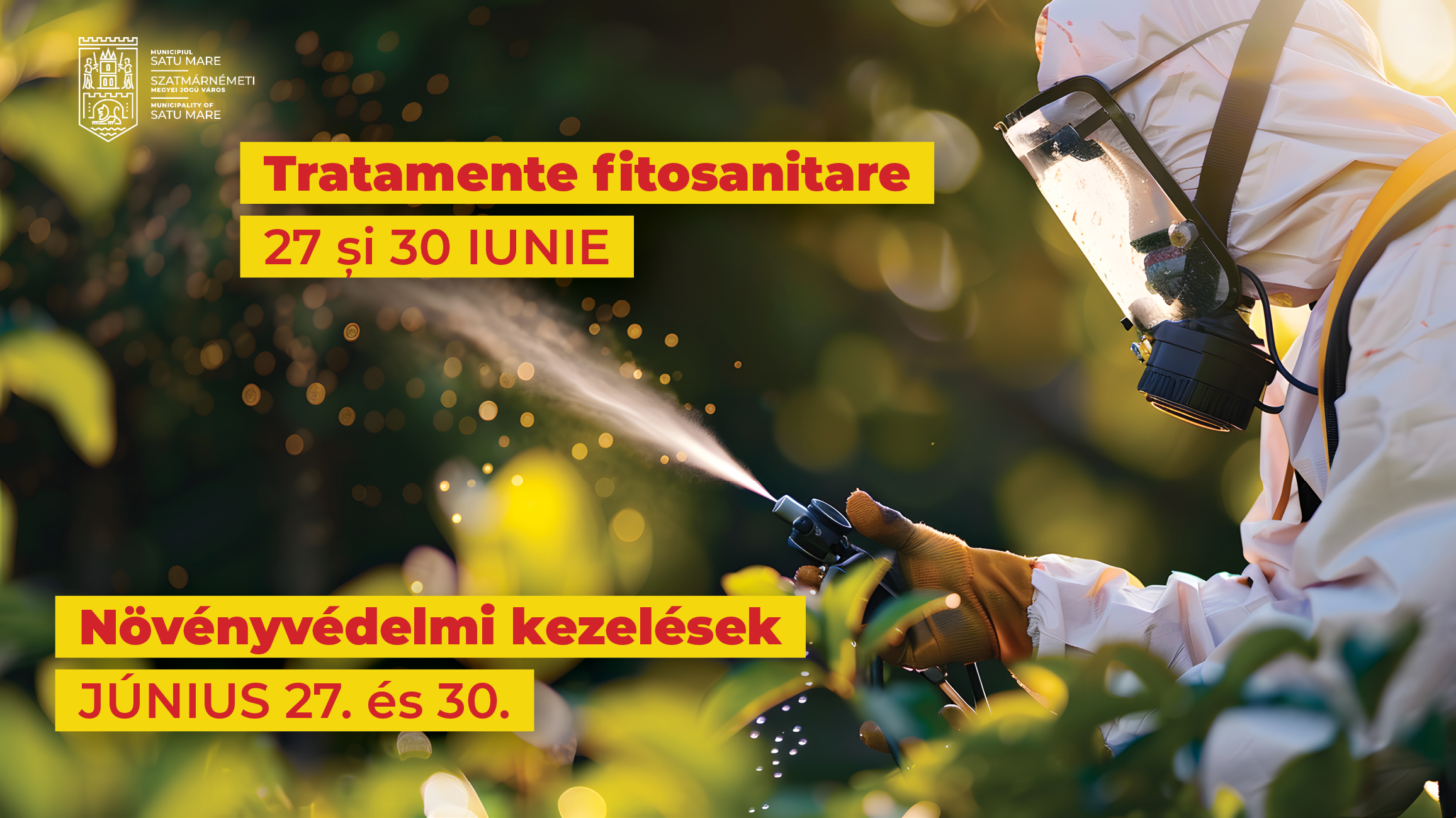 Se stropesc împotriva insectelor toți copacii din municipiul Satu Mare. Atenționarea Primăriei