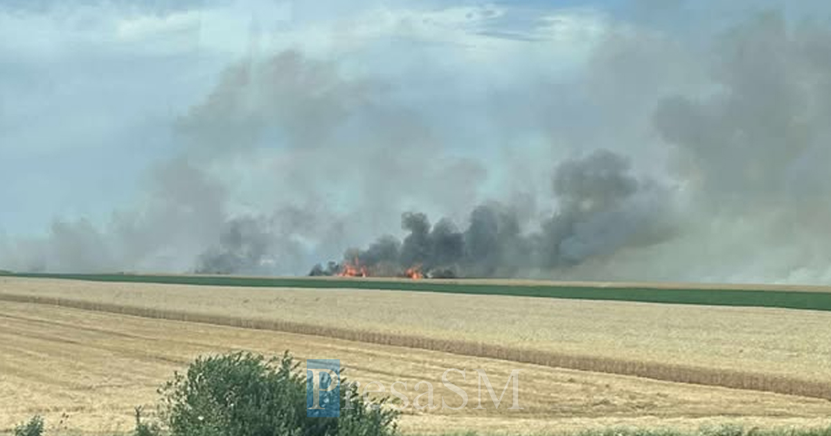 incendiu vegetatie carei moftin.jpg