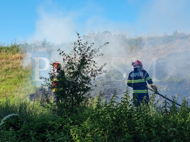 FOTO/VIDEO. Incendiu de vegetație în municipiul Satu Mare. Totul ar fi pornit de la ”joaca” unor copii