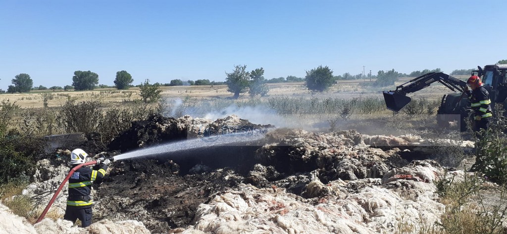 incendiu vegetatie pompieri satu mare vara (4).jpg