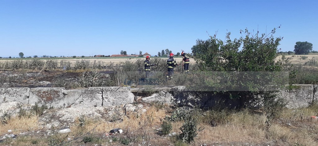 incendiu vegetatie pompieri satu mare vara (5).jpg