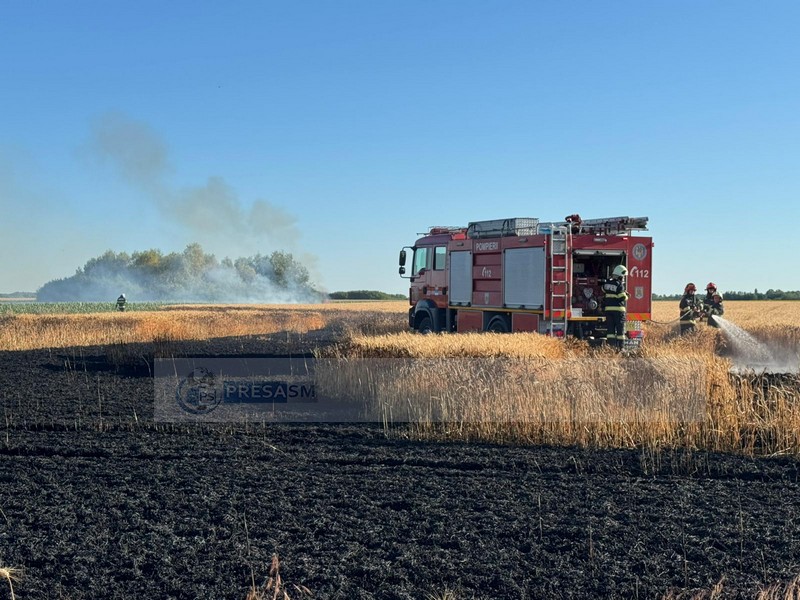 Incendii de vegetație în județul Satu Mare, amenință culturi și pădurea. Mobilizare a pompierilor