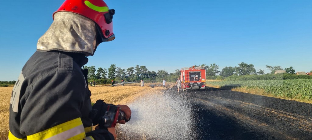 Nici bine nu s-a încălzit vremea, că au și apărut incendiile de vegetație. Semnal de alarmă tras de pompieri și Garda de Mediu Satu Mare