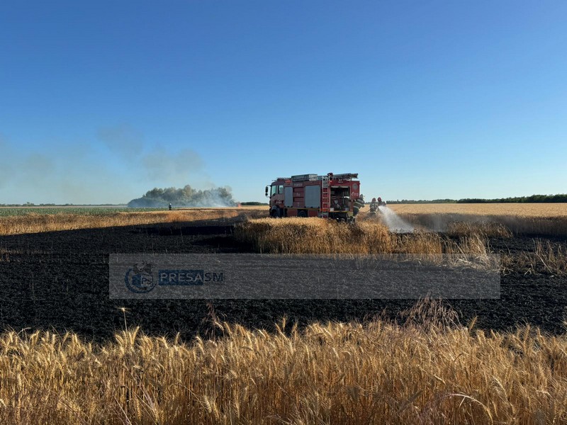 incendiu vegetatie pompieri satu mare vara (9).jpg