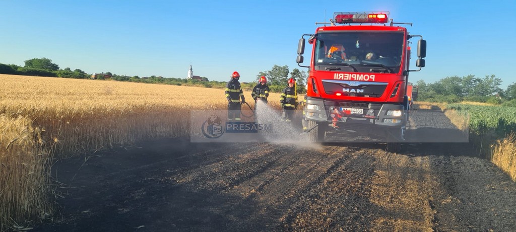 incendiu vegetatie pompieri satu mare vara (8).jpg
