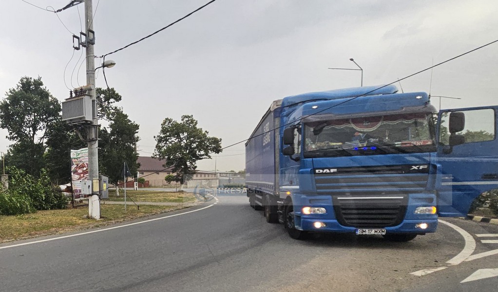 vijelie copaci rupti trafic blocat dn19 (3).jpg