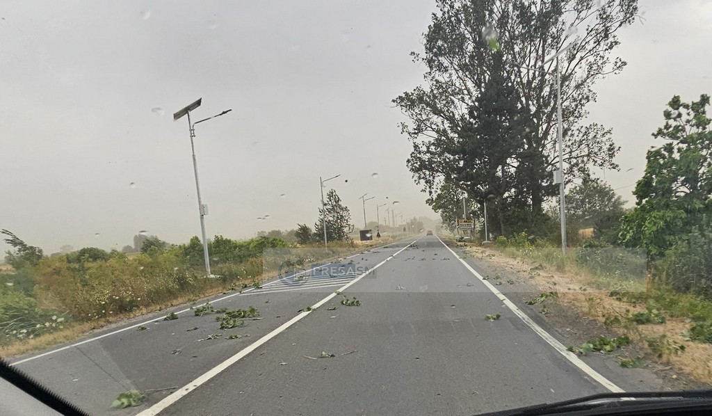 vijelie copaci rupti trafic blocat dn19 (9).jpg