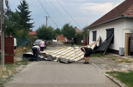 copaci stalpi rupti acoperisuri smulse (6).jpg