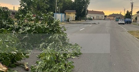 copaci stalpi rupti acoperisuri smulse (4).jpg