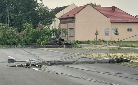 copaci stalpi rupti acoperisuri smulse (8).jpg