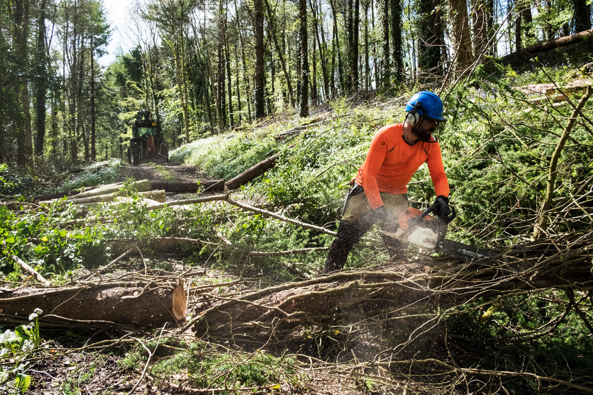 De ce să alegi uneltele de grădină STIHL: Calitatea pe primul loc