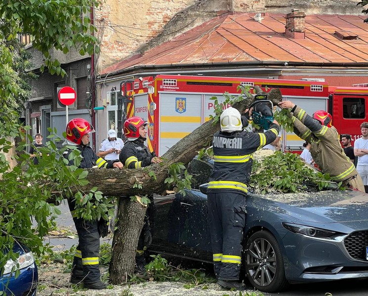 Copac căzut peste un stâlp de electricitate, în municipiul Satu Mare. A fost avariată și o mașină