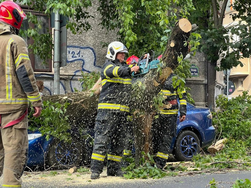 furtuna copaci cazuti furtuni pompieri (3).jpg