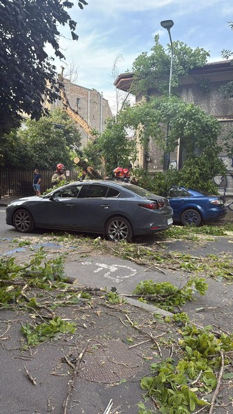 furtuna copaci cazuti furtuni pompieri (4).jpg