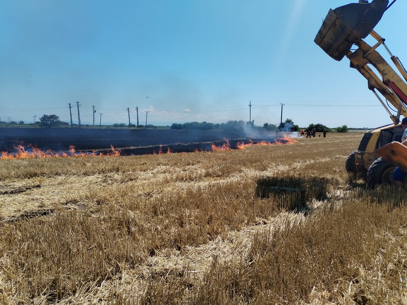 incendiu vegetație Botiz.jpg