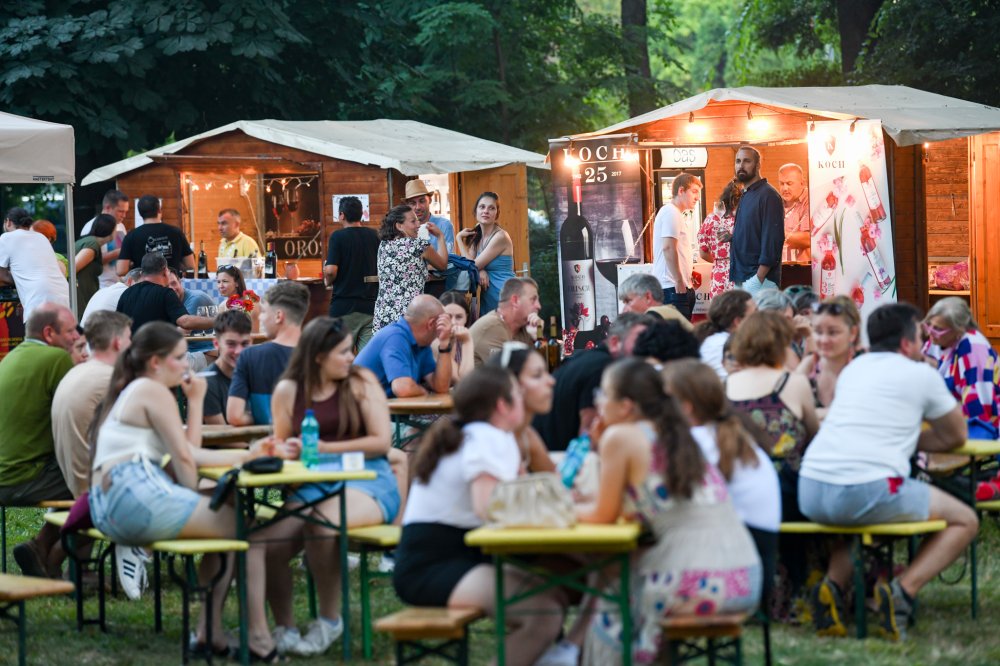 Careiul va deveni capitala vinului. A patra ediție a festivalului de vin Castel Vinum - Vin la Castel