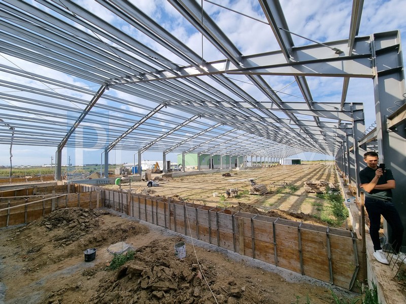Vizită Ionuț Barbu Satu Mare 20253.jpg