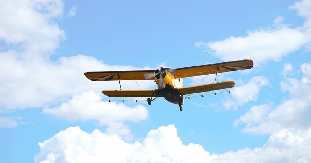 Urmează dezinsecții în parcările și zonele verzi din municipiu. Mâine dimineață se va acționa și din avion