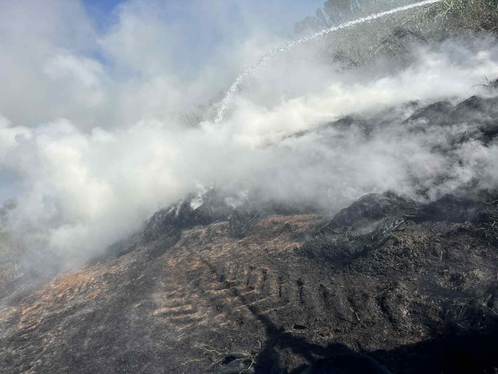 pompieri incendiu anvelope cauciucuri pe camp (5).jpg