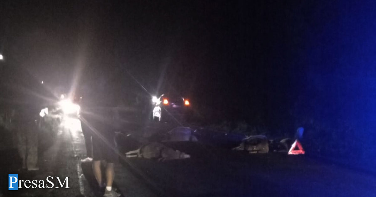 FOTO/VIDEO. Accident grav pe DN19, în județul Satu Mare: 20 de oi omorâte după ce un șofer a intrat în turmă