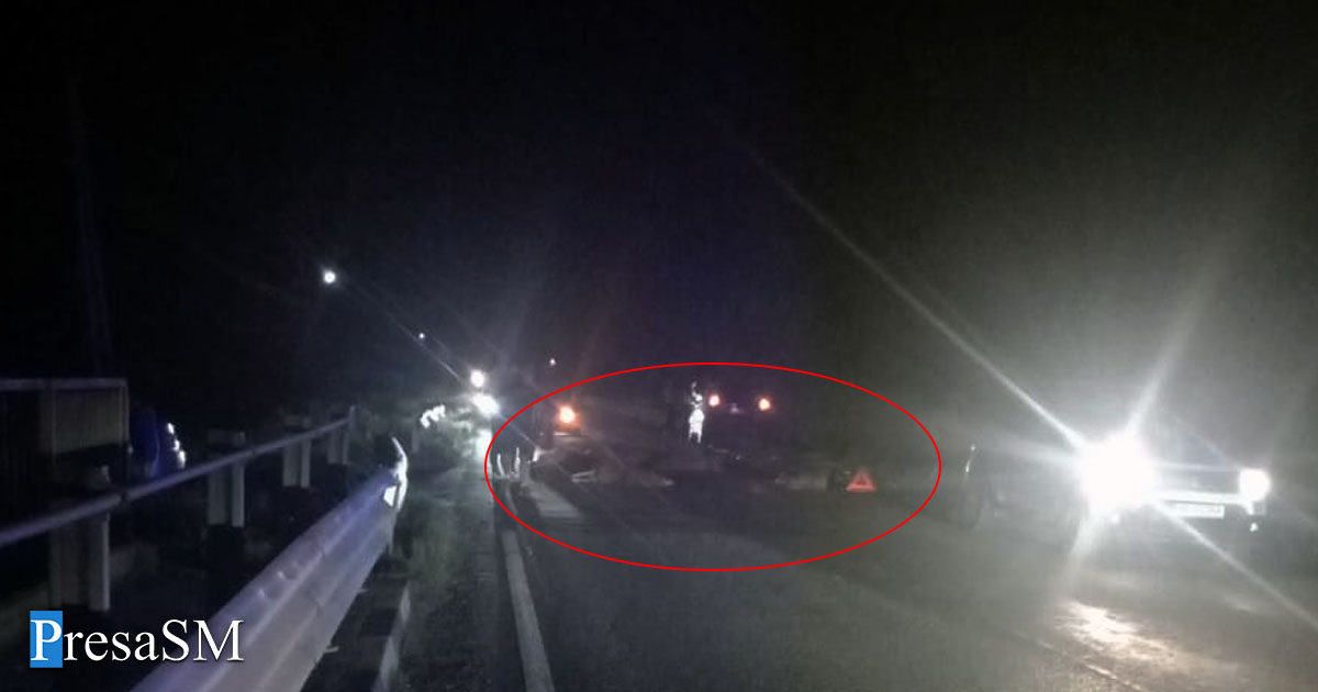 FOTO/VIDEO. Ciobani amendați după ce o șoferiță a dat cu mașina în turmă pe DN19