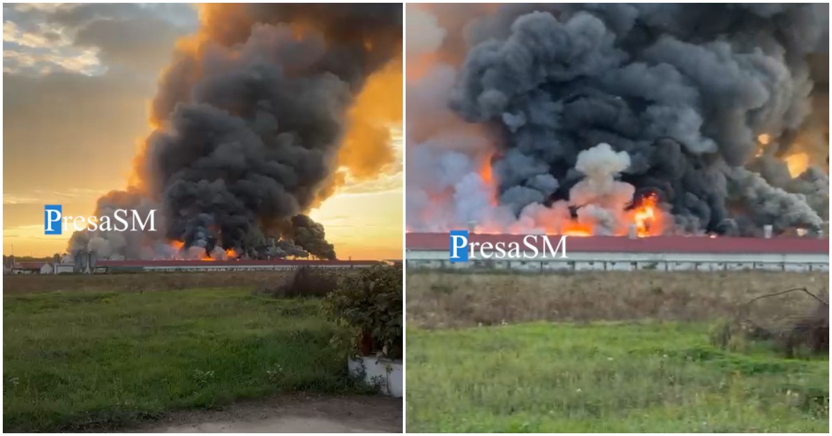 FOTO/VIDEO. Cauzele incendiului uriaș de la ferma de pui din județul Satu Mare
