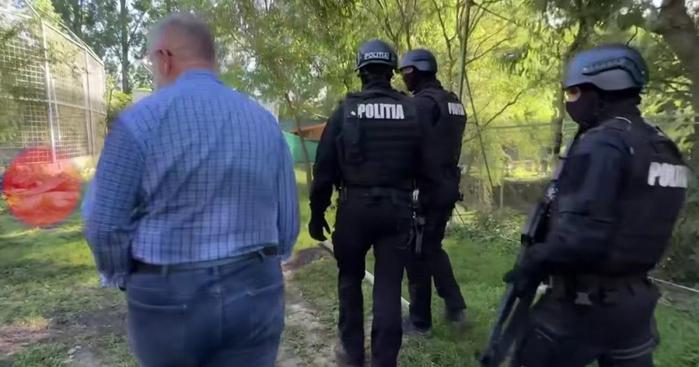 VIDEO. Scene mai puțin obișnuite într-un județ din țară. Mascații au descins la grădina zoo
