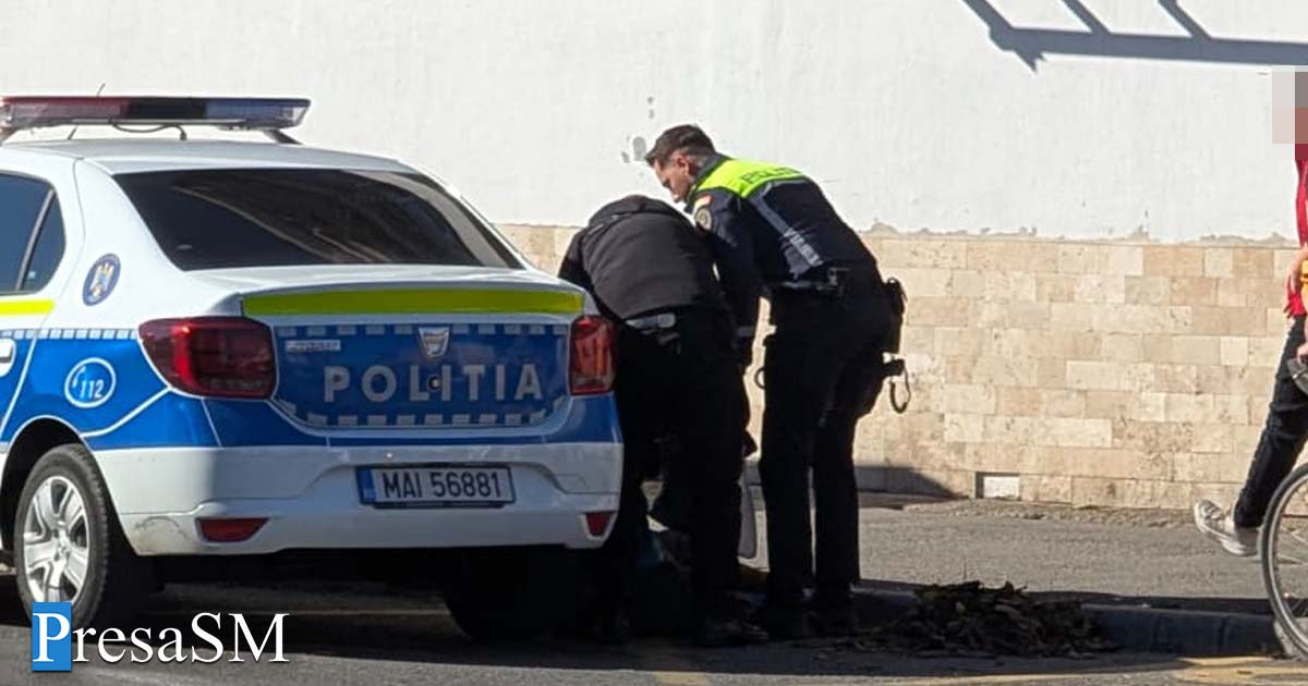 Bătaie în fața blocului, după o relație încheiată. Un sătmărean l-a lovit pe actualul iubit al ”fostei”