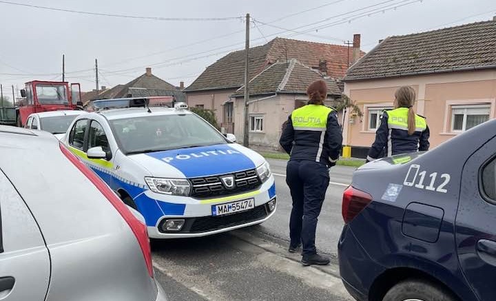 Un bărbat din Satu Mare ar fi ucis intenționat un câine cu mașina. A fost reținut de Poliție  