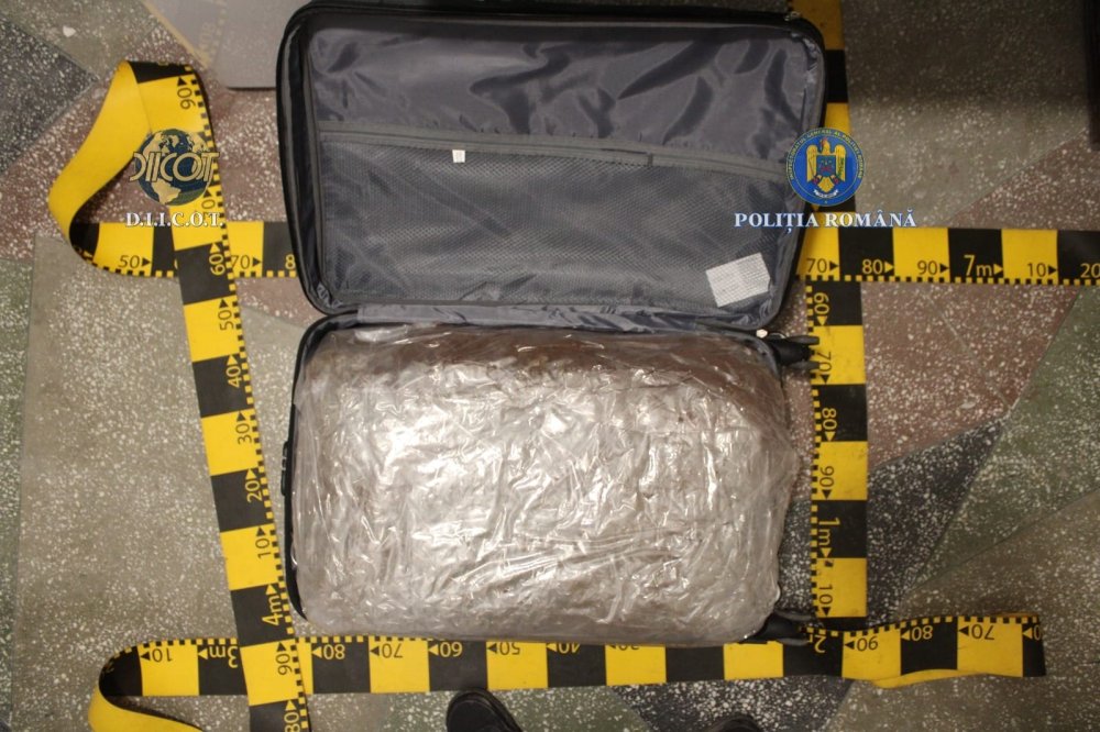 FOTO. Captură mare a polițiștilor din Satu Mare: zeci de kilograme de droguri
