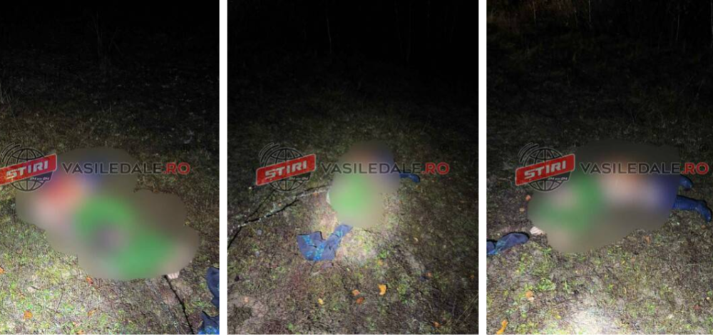 FOTO. Femeie găsită sfâșiată. Suspiciuni că ar fi fost atacată de un urs, în județul vecin