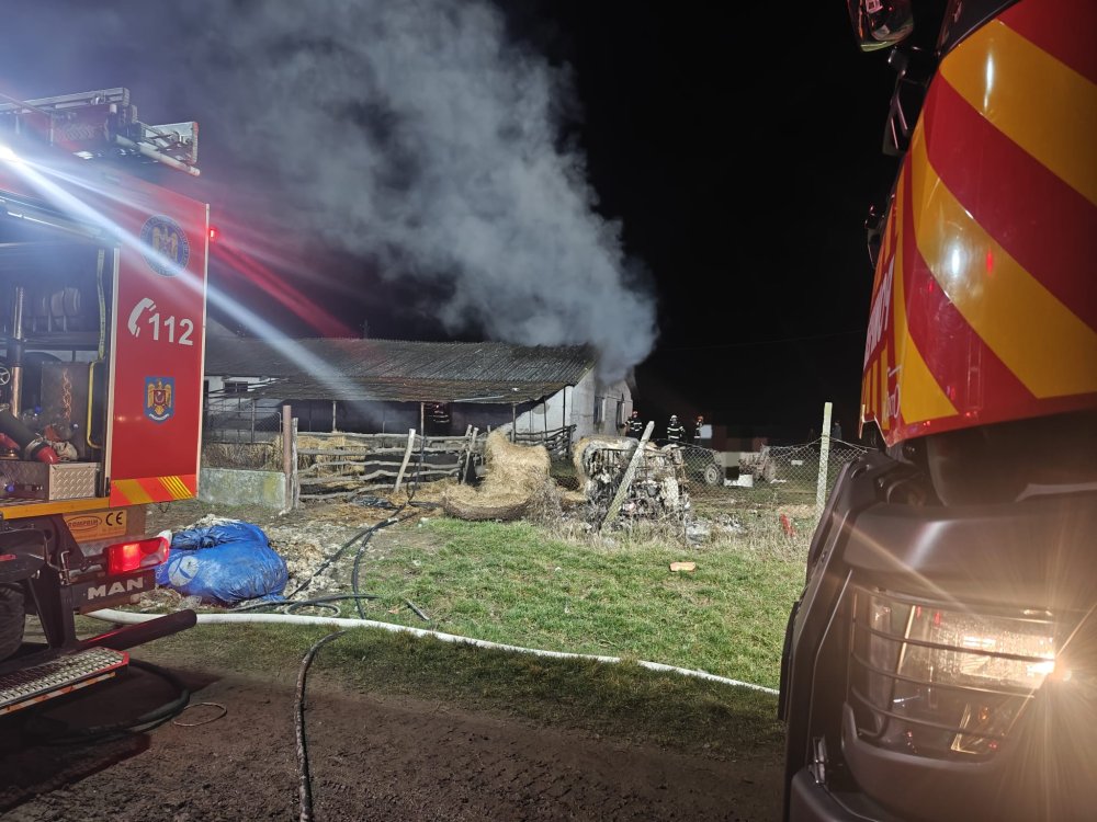 SATU MARE. Un tată și doi fii, acuzați că ar fi bătut cu bestialitate un bărbat. I-ar fi dat foc și la fermă