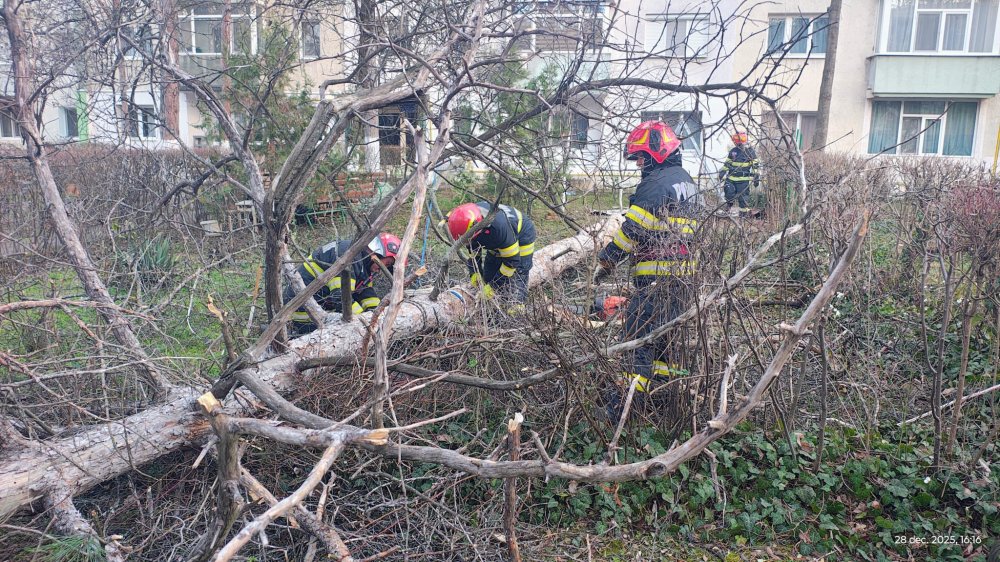 Zeci de județe, inclusiv Satu Mare, afectate de vântul puternic