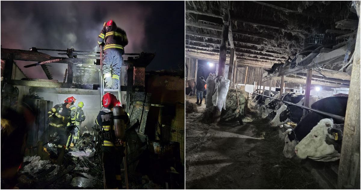 FOTO. Imobil făcut scrum, risc de explozie și zeci de vaci în pericol, în județul Satu Mare
