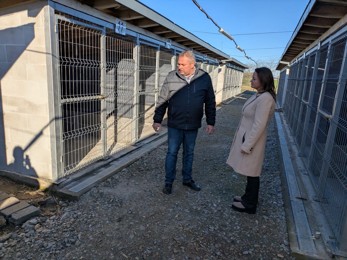 FOTO/VIDEO. Unde se deschide în județ cel mai modern adăpost de câini. FĂRĂ eutanasieri!