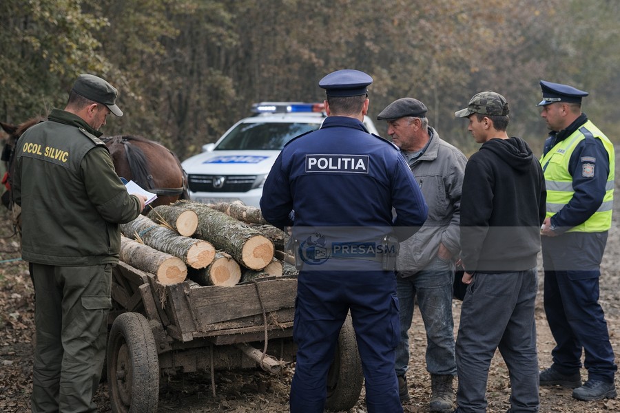 Tată, cu șase copii, prinși la furat de lemne în județul Satu Mare. ”De sărăcie”, a spus tatăl