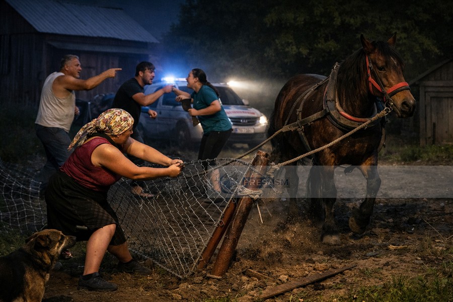 Așa ceva... O sătmăreancă a scos cu un cal tot gardul surorii sale, din răzbunare