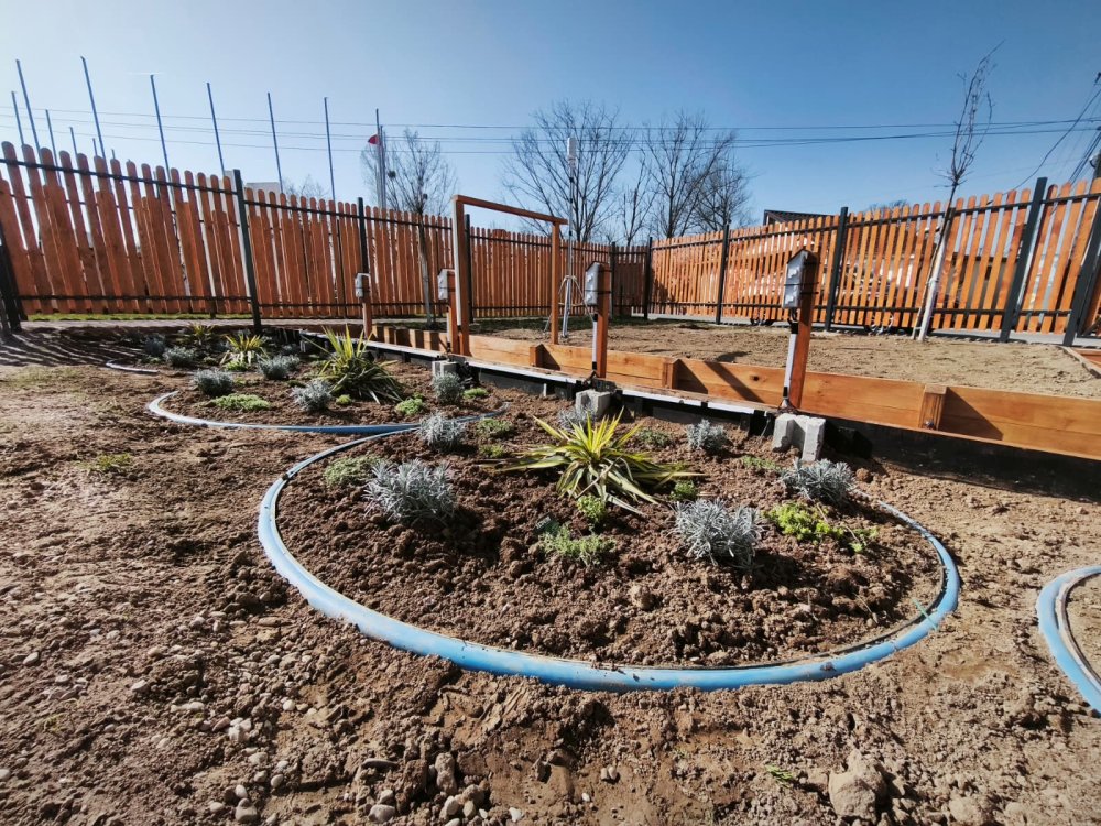 FOTO. Premieră în județul Satu Mare. Grădină de ploaie într-un oraș din județ