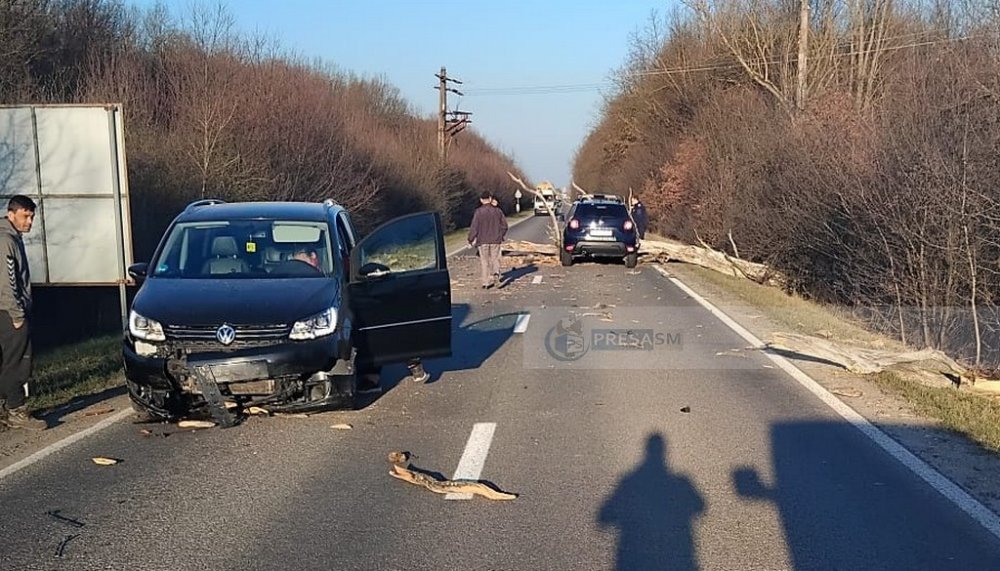 FOTO/VIDEO. Șoferiță rănită după ce un copac i-a căzut pe mașină, în județul Satu Mare
