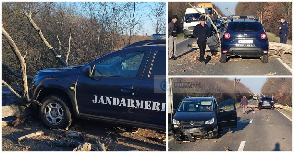 FOTO. Accident pe DN19, în Satu Mare. Copac căzut peste mașina Jandarmeriei și una civilă