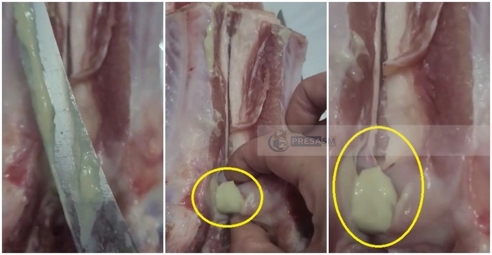 VIDEO. O sătmăreancă acuză: ”Carne cu puroi, cumpărată dintr-un mare magazin”. Ar putea fi și ganglioni